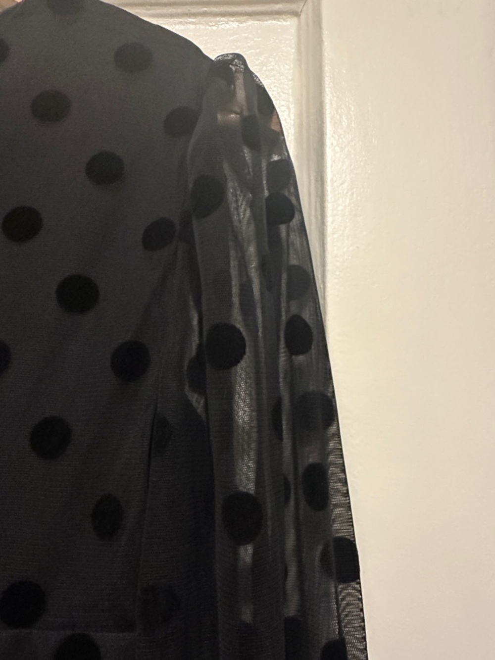 Boden Black Polka Dot Mesh Midi Dress with Sheer Sleeves - Picture 11 of 12